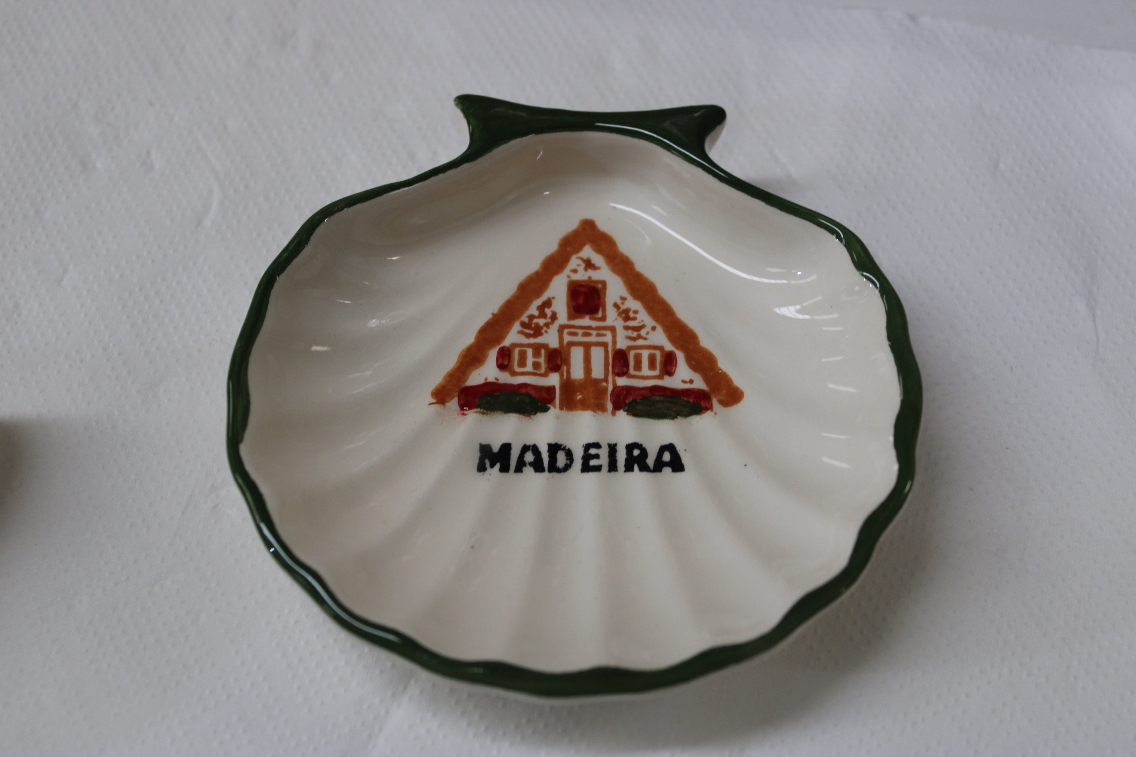 conchas pintadas