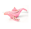 Baleia_tampa Rosa