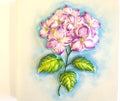 Hortênsia 12x12 Branco