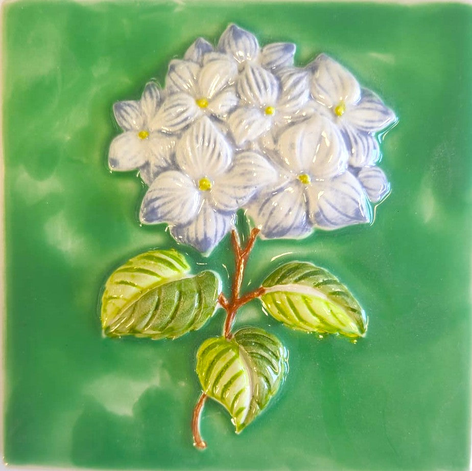 Hortênsia 12x12 Verde