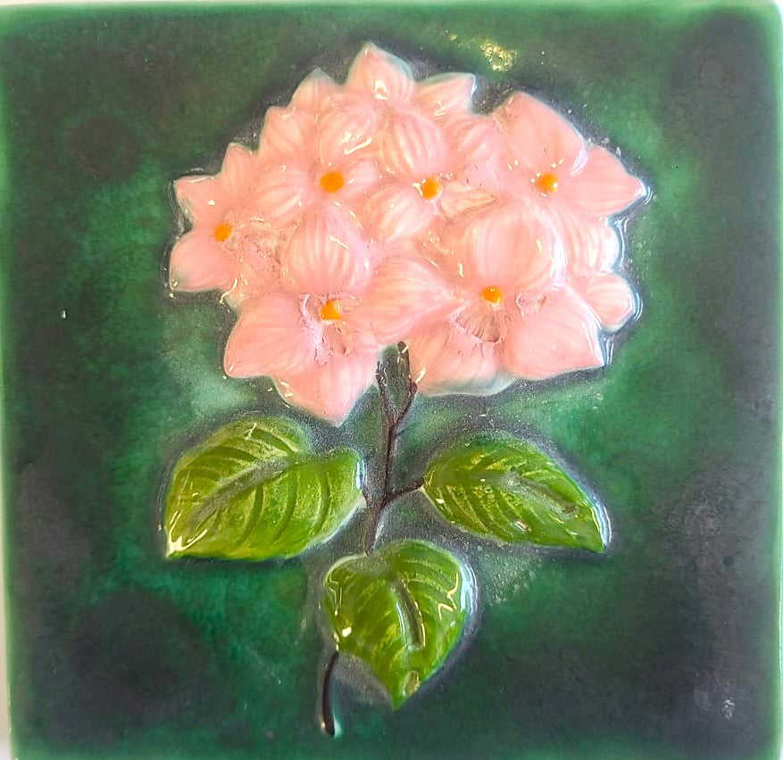 Hortensia Cores Sortidas