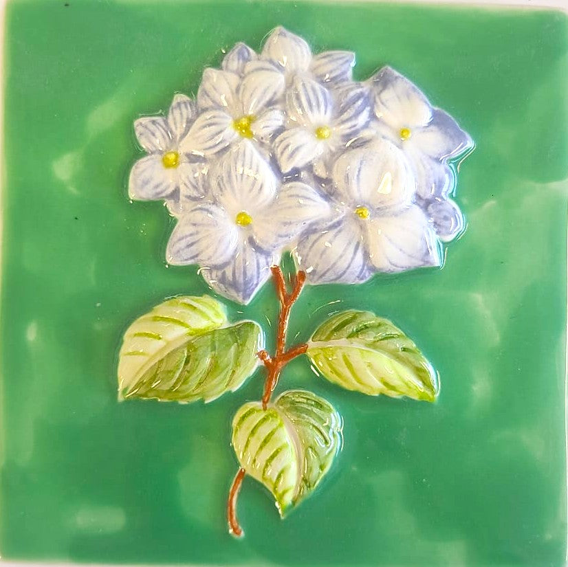 Hortensia Cores Sortidas