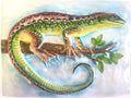 Lagarto 20x15 Azul