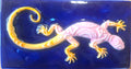 Lagarto 20x11 Azul
