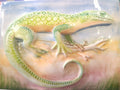Lagarto 20x15 Laranja