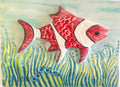 Peixe Ref. 4