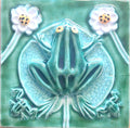Sapo_flor Verde