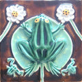 Sapo_flor Castanho