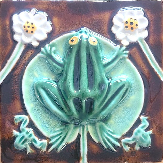 Sapo_flor Castanho