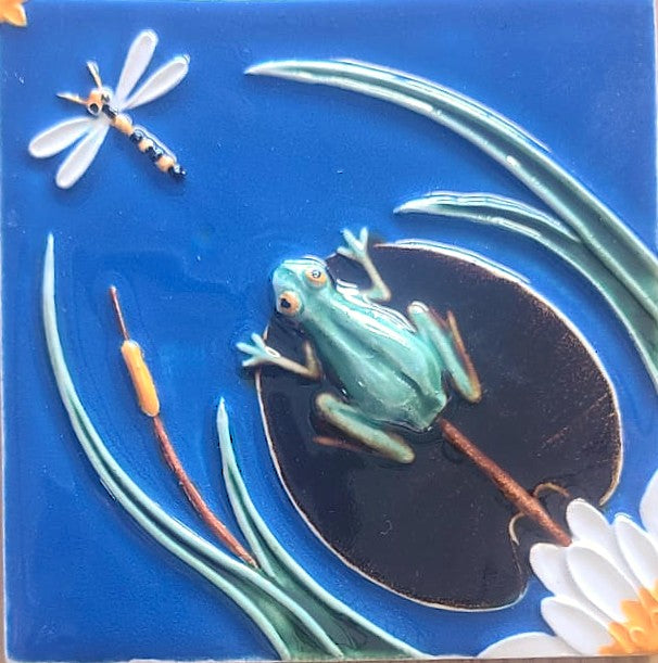 Sapo_Libelinha Azul
