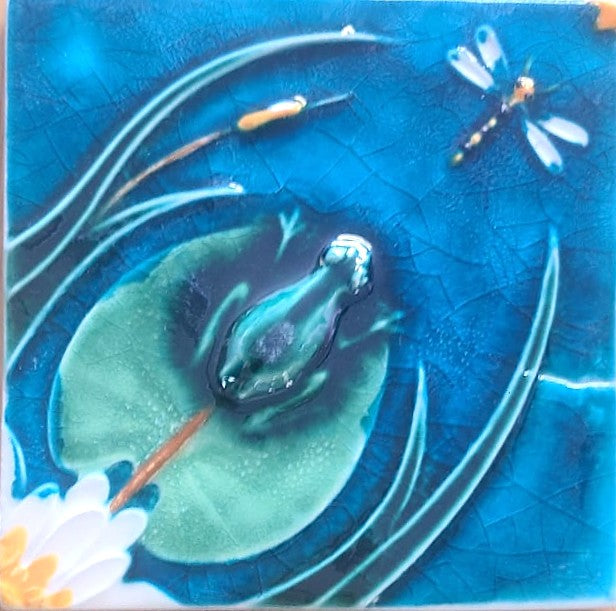 Sapo_Libelinha Azul